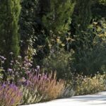 Proyecto de Freehand Arquitectura