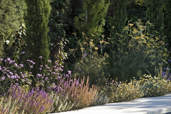 Proyecto de Freehand Arquitectura